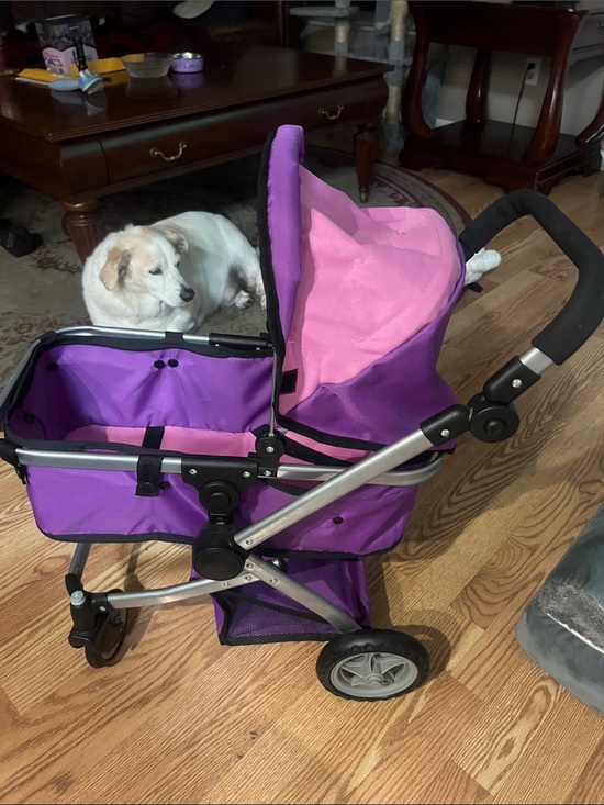 Other - Purple and Pink Doll Stroller can hold a mini doggie or cat